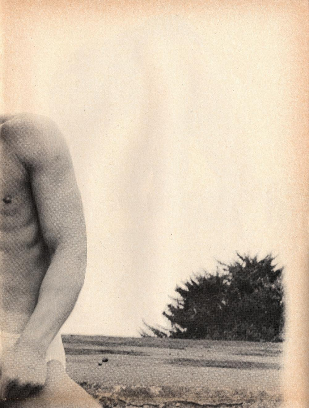 scan 31 · image_001.png