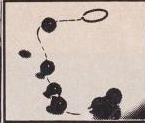 scan 13 · image_003.png