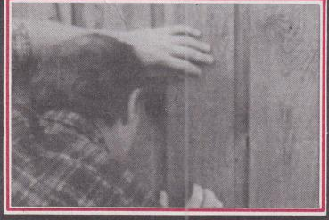 scan 8 · image_003.png