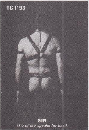 scan 41 · image_007.png