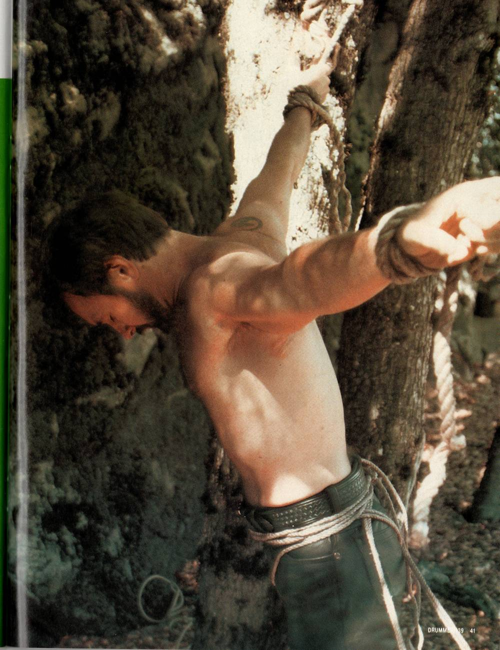scan 41 · image_002.png