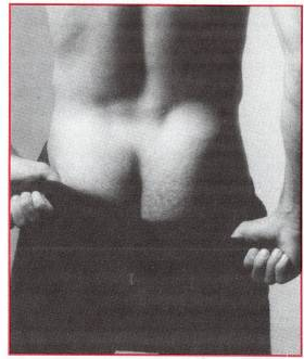 scan 7 · image_002.png