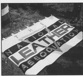 scan 6 · image_003.png