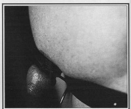 scan 22 · image_002.png