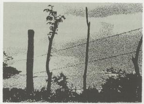scan 23 · image_003.png