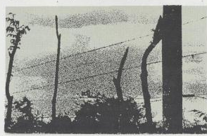 scan 25 · image_003.png