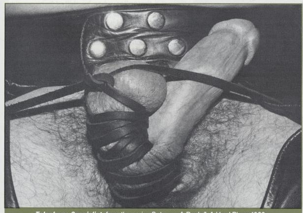 scan 28 · image_002.png