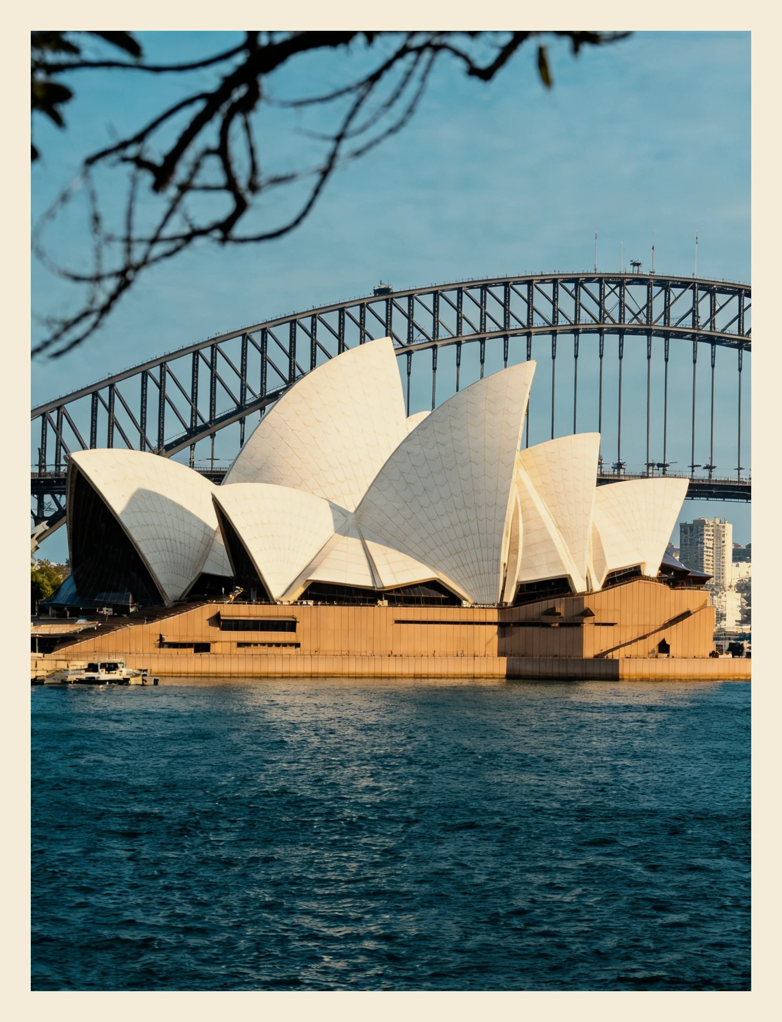 scan 5 · image_002.png