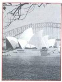 scan 5 · image_004.png