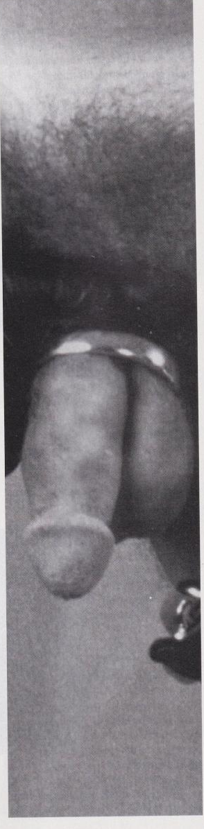 scan 28 · image_002.png