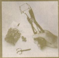 scan 58 · image_003.png