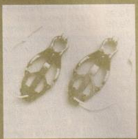 scan 58 · image_006.png
