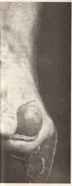 scan 75 · image_002.png