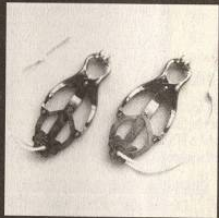 scan 89 · image_006.png